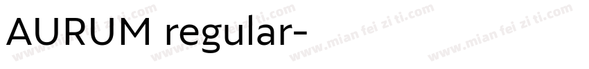 AURUM regular字体转换